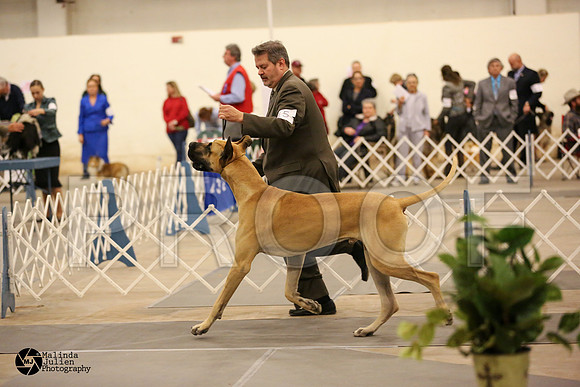 Dane-6102-MIdFeb14-HR