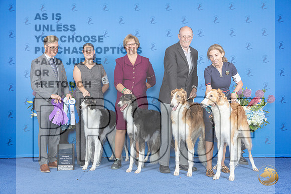 Borzoi #19 #32 #30 #11 FRI family Judge Douglas Johnson__JP_8971_Houston_2024_HR3