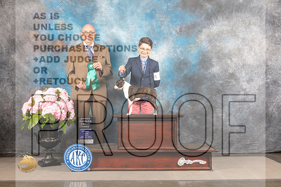Boston Terrier #42 FRI G3 Judge Joe Walton_MJ_5929_Houston_2022_HR3