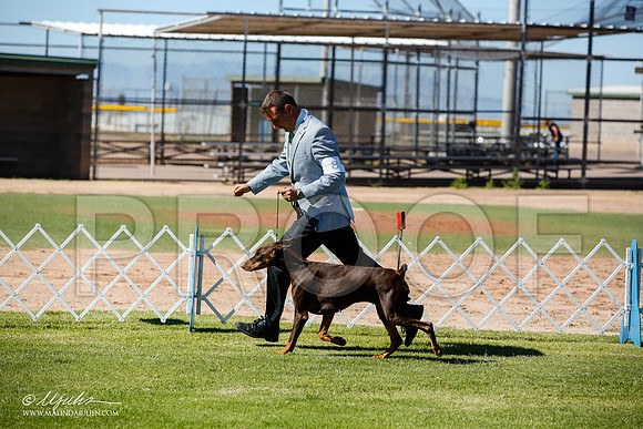 _JN_5979-AlamogordoOct2014-HR3