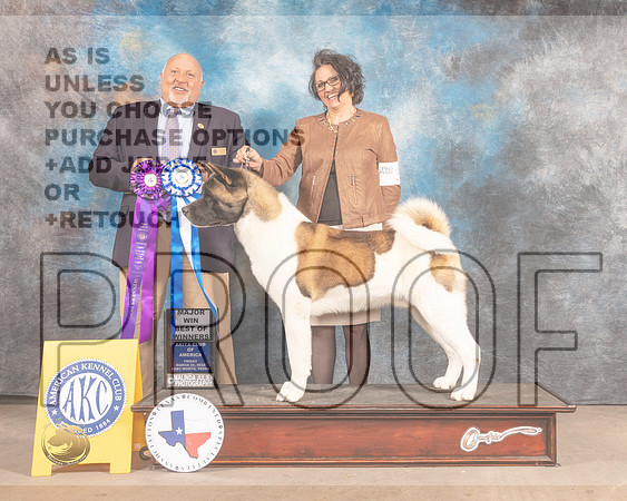 Akita #25 Fri BOW Judge Hal Biermann-MMJ_7133-FW2022-HR3