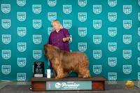 Briard #627 Sun ARBIS Judge Rick Gann