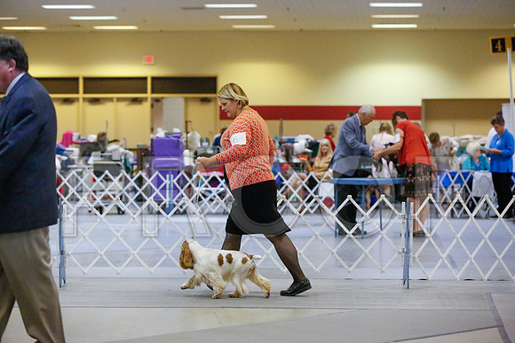 _JN_9567-AmarilloSept2014-HR3