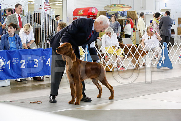 _JN_2259-DallasJul2014-HR3