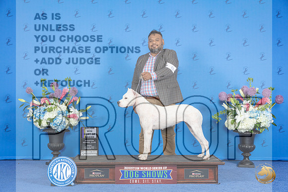 Dogo Argentino #8 FRI BOB M Judge Douglas Johnson r__JP_0030_Houston_2024_HR3