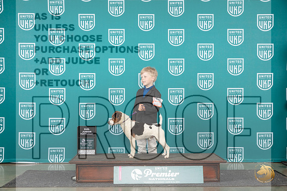 Parson Russel Terrier #2000 Sat PJr1 Judge Stan Matsumoto__JP_1963_Premier_2024_HR3