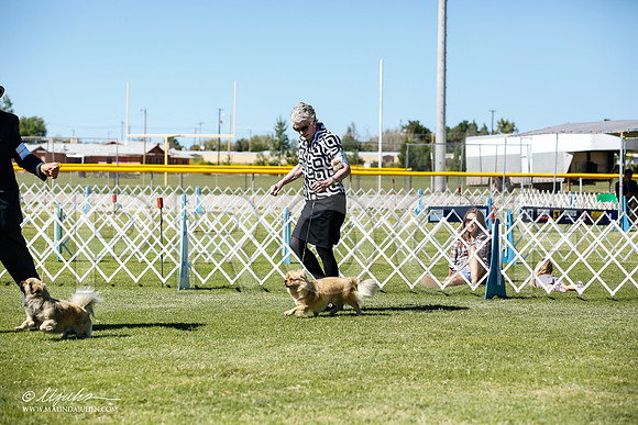 _JN_9270-AlamogordoOct2014-HR3