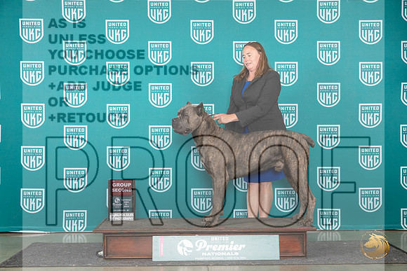 Cane Corso #1059 Fri BOB Deb Allen Sat G2 Judge Lori Sargent__JP_2547_Premier_2024_HR3