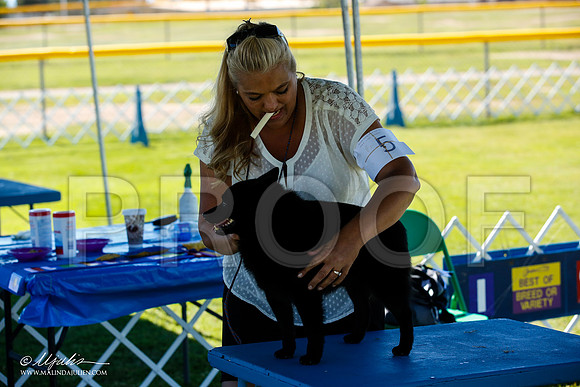 _JN_5190-AlamogordoOct2014-HR3