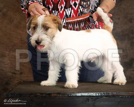 JRT-9373-CntnOct13-HR