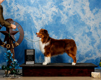 #391 Sat2 Confermation Finals 2nd Kim Van Biert Jennifer Baldwin