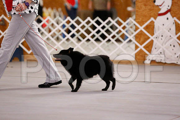 _RH_6058-CarlrolltonSept2014-HR3