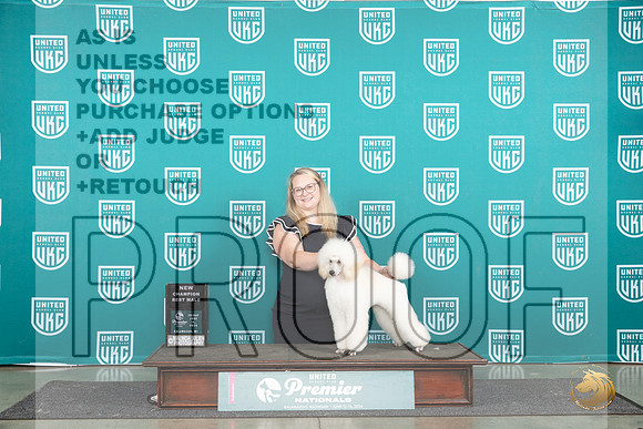 Poodle Miniature #480 Fri BMCH Judge Diane Price__JP_1648_Premier_2024_HR3