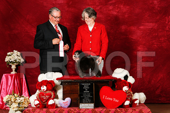 _ST_2149-2-BeltonJan2015-HR3