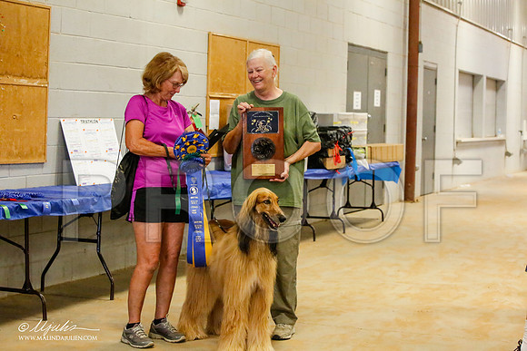 _MJ_2764-AfgBeltonOct2014-HR3