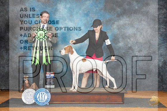 Pointer #5 Sat BIS Judge Jim Fehring__JP_8327_MARSHALL_2024_HR3