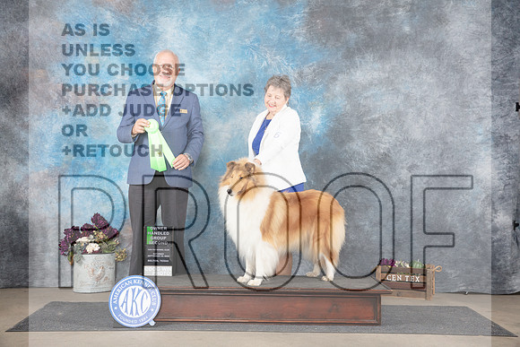 Collie Rough #6 Sat OHG2 Judge Eric Liebes__JP_7404_Belton_2024_HR3