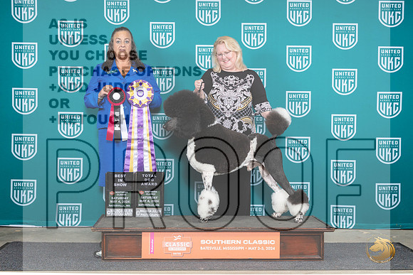 Poodle Std MC #128 Sat1 BISTD Judge Valerie Piltz__JP_6519_BatesvilleMS_2024_HR3