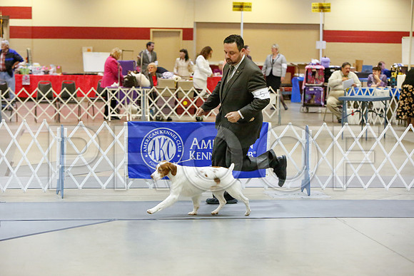 _JJ_2162-AmarilloSept2014-HR3