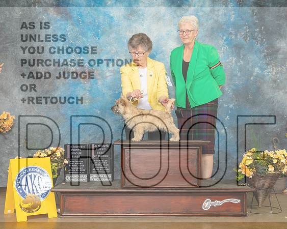 Cairn Terrier #9 Thur PBOBPG1 Judge John Wade-MMJ_8715-NWARK2022-HR3