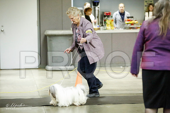 _JJ_5530-BeltonJan2015IABCA-HR3