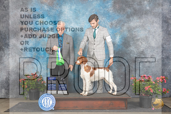Brittany #25 Sat BOWBP Judge Robert Stein__JP_5052_San Antonio_2024_HR3