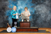 Miniature Schnauzer #12 Sat G4 Judge Lisa Graser