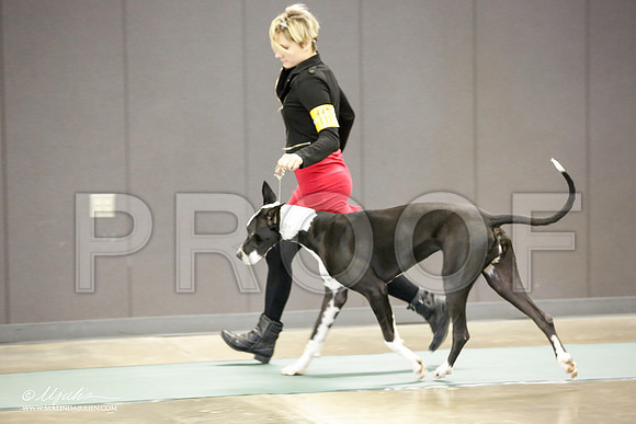_JN_2088-BeltonJan2015-HR3