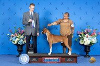 Boxer #21 SUN WD BW M Judge Ronald Freeman