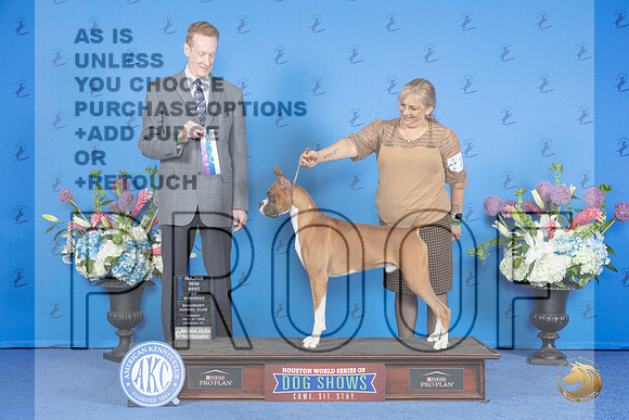 Boxer #21 SUN WD BW M Judge Ronald Freeman__JP_0325_Houston_2024_HR3