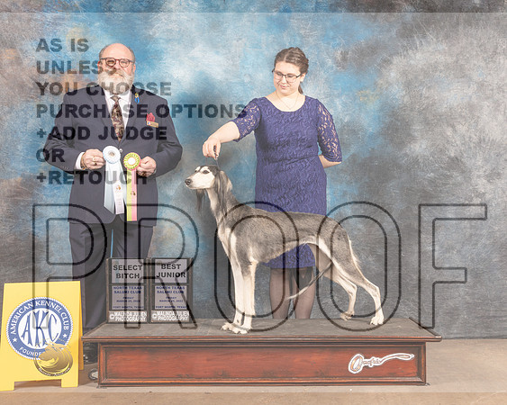 Saluki #22 Fri SBBJr Judge Bryan Martin-MMJ_7021-FW2022-HR3