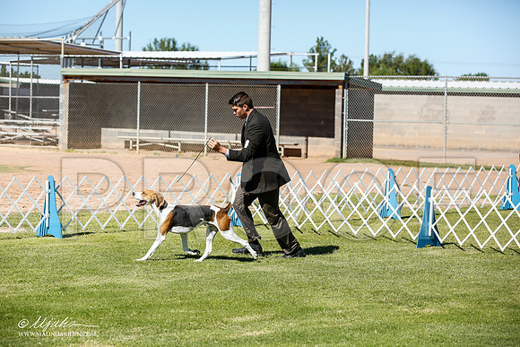 _JN_5950-AlamogordoOct2014-HR3