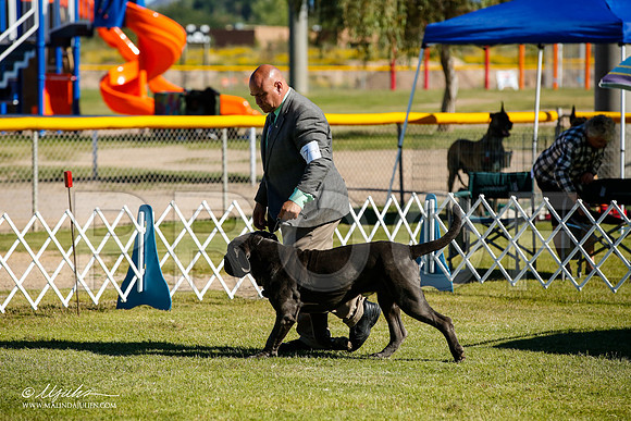 _JJ_9538-AlamogordoOct2014-HR3
