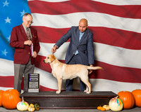 Retrievers Labrador #14 Sat RWB Somoza Fernando Starkey Green Stacey Green Judge Mr Laurence J Libeu