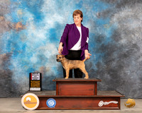 Border Terrier #10 WBBOS Judge Barbara Alderman