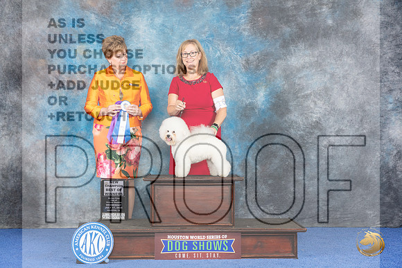 Bichon Frise #9 WED WD BOW NC Judge Denise Flaim__JP_7160_Houston_2024_HR3