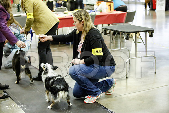 _JJ_6943-BeltonJan2015IABCA-HR3