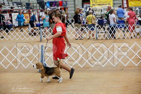 _HR_7962-TxArJun2014-HR3