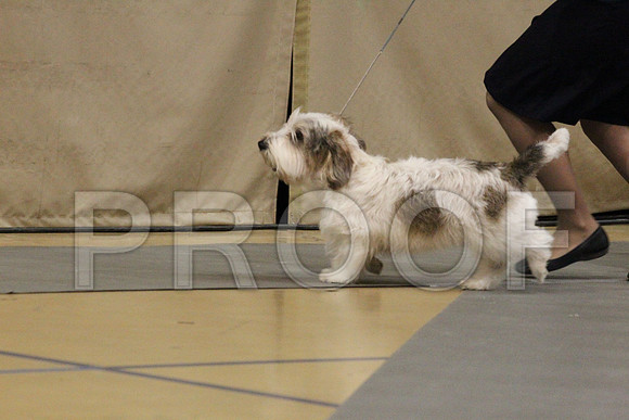 MJS_0027