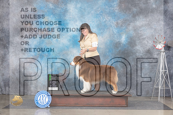 Australian Shepherd #15 Sun OHG2 Judge Jon Cole__JP_6463_Amarillo_2024_HR3
