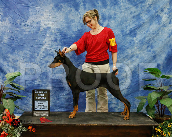 dobe-6715-HtoJan14-HR