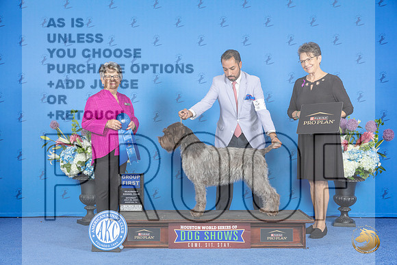 Wirehaired Pointing Griffon #8 SAT G1 Judge Sandra Lex__JP_0008_Houston_2024_HR3