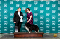 Shetland Sheepdog #15 Wed RCH Judge Keith Kozakiewicz