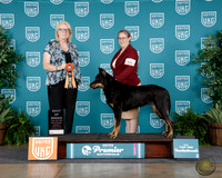 Catherine Stinett UKC Premier 2025