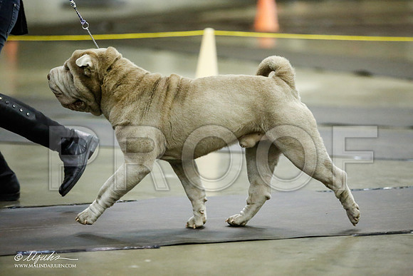 _JJ_5729-BeltonJan2015IABCA-HR3