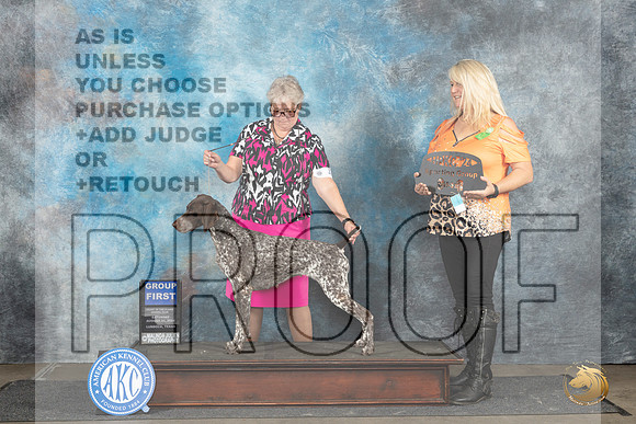 German Shorthaired Pointer #10 Sat G1 Judge Gerard Penta__JP_3634_Lubbock_2024_HR3