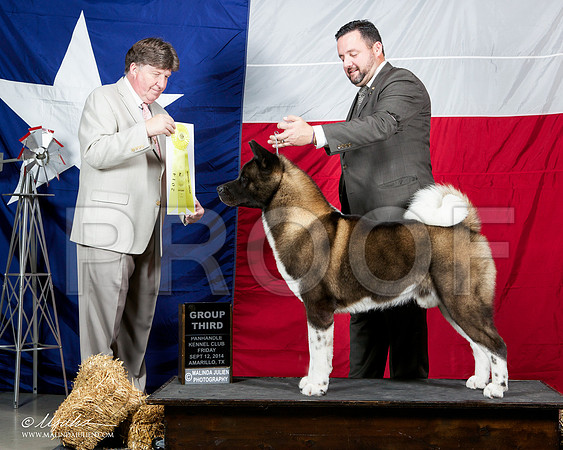_ST_1663-AmarilloSep2014-HR3