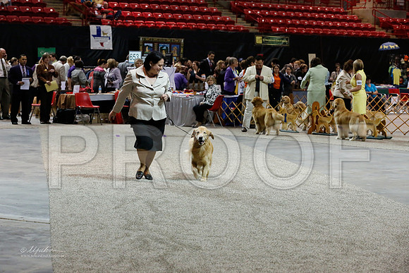 Vet8-10-0007-WFOct2013-HR