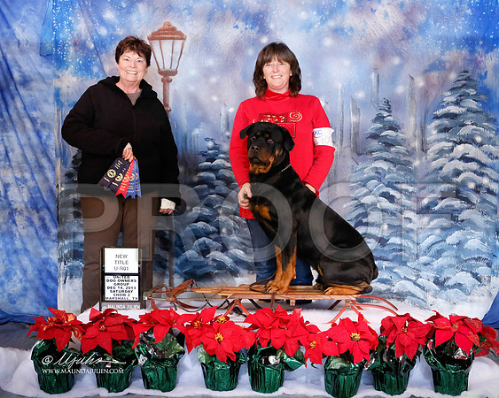 rott-6545-MrshlDec13-HR