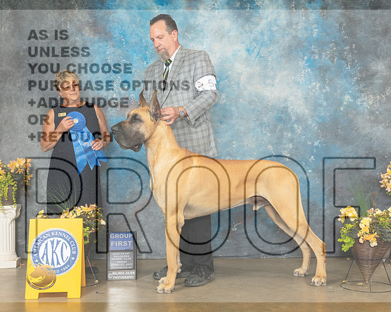 Great Dane #5 Fri G1 Judge Cathy Daugherty-MMJ_9664-NWARK2022-HR3